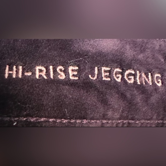 American Eagle High Waist Velvet Deep Purple Jegging Women’s Size 12 Short - Picture 6 of 7